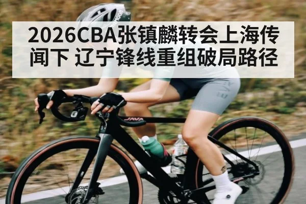 2026CBA张镇麟转会上海传闻下 辽宁锋线重组破局路径